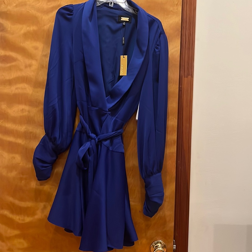 Alexia admor knee length dress  with belt and detail buttons NWT sz 8/10